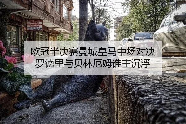 ou-guan-ban-jue-sai-man-cheng-huang-ma-zhong-chang-dui-jue-luo-de-li-yu-bei-lin-e-mu-shui-zhu-chen-fu-1-522.jpg