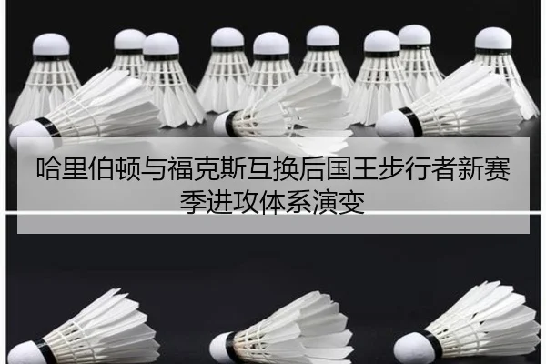 ha-li-bo-dun-yu-fu-ke-si-hu-huan-hou-guo-wang-bu-xing-zhe-xin-sai-ji-jin-gong-ti-xi-yan-bian-1-530.jpg